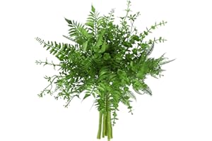Floralsecret 10 plantas artificiales de helecho Boston, tallos de eucalipto para el hogar, jardín, oficina, arreglos florales, centros de mesa, decoración interior y exterior