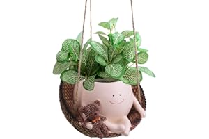 Rodison Hängende Blumentöpfe mit Schaukel Gesicht, Blumentopf mit Gesicht und Bär Design, Blumenampel mit Drainageloch für Sukkulenten und Kräuter