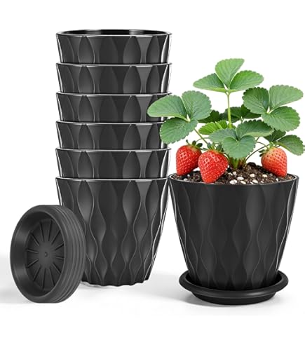 Plantador De Pared Plantador Vertical Y De Pared 6 Bolsillos | Envío Gratis