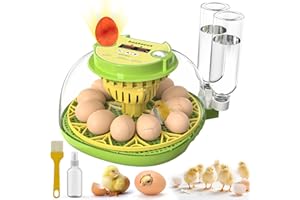 BESTECCT 2025 Upgraded Incubators for Hatching Eggs,12 Egg Incubator with Automatic Egg Turning and Humidity Control,Egg Candler,Air Vent,360° Viewing for Chicken,Quail Eggs,Ideal for Farm,Classroom,Home