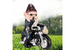 Norhogo Garden Gnome Ornaments, Biker Gnomes Garden Ornaments, garden gnome funny, decoration for terrace balcony, motorbike gnome old man, garden house office decoration resin ornament