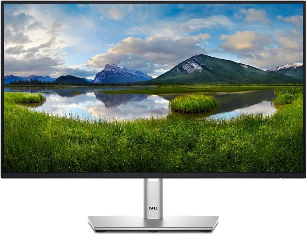 Dell P2425H 24 inç Full HD (1920 x 1080) monitör, 100 Hz, IPS, 5 ms,%99 sRGB, USB-C, DisplayPort, HDMI, VGA, 4X USB, 3 yıl garanti, siyah
