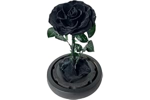 Kylin Glory Preserved Rose Flowers for Mom Wife Girlfriend Women Elegant Present for Valentine's Day Mother's Day Anniversary Birthday (Black)
