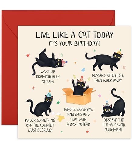 Miraculous Ladybug & Cat Noir Birthday Banner - View #7