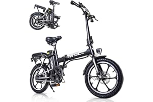 VDL Bicicletta Elettrica 14"-16", E-Bike da 36V 6,4/11,4/13Ah Batteria Rimovibile, Città Pendolare Ebike con Display LCD, Freni a Disco Meccanici Anteriori e Posteriori, Autonomia di 30-60km