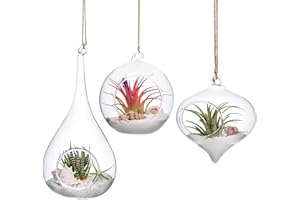 Mkouo 3 Pack Jardinière Suspendue en Verre Terrarium Porte-fougère Plants Hanger Vase Home Decoration Xmas Gift for Succulent Moss Tillandsias Air Plants, Olive, Globe and Teardrop