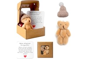 TOGETDREAM Pocket Hug Positive Mini-Teddybär, Bär In Einer Box Mini-Plüsch Figuren Lustige Teddy-bär Puppe Sorgenbär-Umarmung in Einer Box Kleines Tier Mit Inspirierender Karte für Frauen Babyparty Freunde