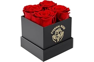 DATEFUN Rosenbox mit Konservierte Blumen - 4 Infinity Rosen Ewige Rose - Ewige Blume Geschenkbox Geschenke für Frauen für Valentinstag Muttertag, Weihnachten, Geburtstag, Hochzeitstag (Rot)