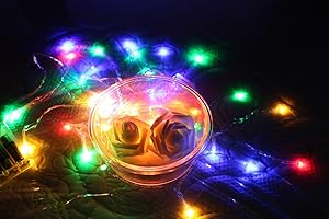 TIMEWANDERER Colorful Led String Fairy Light AA Battery Operated Bright LED Lights Decorative Lights on Clear Wire for Home DIY Decoration (3M 30 LEDs)