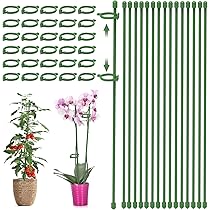 30 Pali Di Supporto Per Piante In Fibra Di Vetro - 3 Misure Per Orchidee, Pomodori E Rose - Foto 9