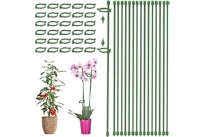 PEAKTOP 15 Tuteurs pour Plantes 30cm, Florale Piquet de Support, Bâton de Plante Tuteur Orchidee, Tuteur Plante Interieur Bâtons Vertes avec 30 Clips pour Plantes à Tige Unique, Pivoines, Lys, Rose