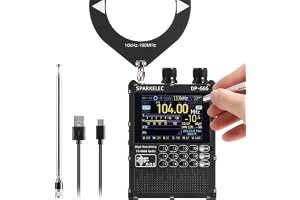 Raddy DP-666 DSP Världsbandradio TEF6686 Chip, Professionell AM/FM/LW/MW/SW RDS-mottagare, 2,8" Pekskärm + Stylus, 5000mAh Batteri, Teleskop- & Donut-antenn, Bärbar med FW-uppdatering