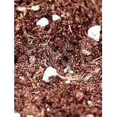 Substrat Mix Ithal Torf Cocopeat Perlit &Ouml;zel Karışım Saksı Harcı &Ccedil;i&ccedil;ek Ve Bitki Toprağı 10 LT