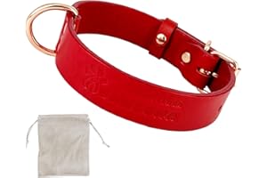 AVANZONA Chien Collier Cuir, Qualité Cuir Souple, Fait À La Main en Espagne, Petit Moyen Grand Chien. Rouge et Or Rose.