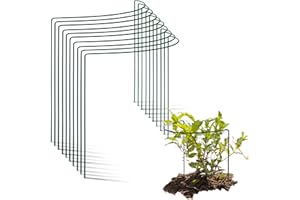 Novatool Lot de 10 tuteurs d'arbustes - Semi-circulaire - Vert - 35 x 40 cm