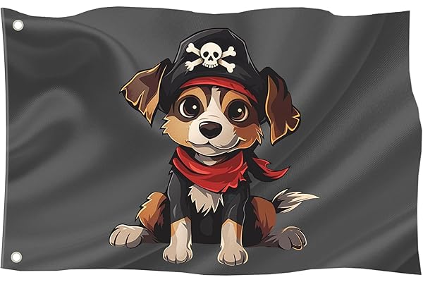 Drapeau pirate 60 x 40 cm 23,6 x 15,7 pouces résistant aux intempéries œillets extérieur intérieur mât de drapeau 100 % polyester