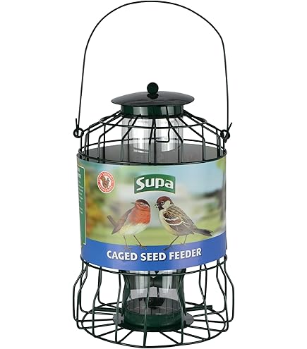 Module Laser Vert Haute Puissance 1W 520nm - Pour Gravure Et Effets Scéniques