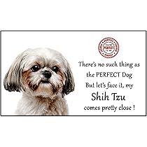 Basset Hound Car Magnet - 5 Inch Cute Puppy Dog Flexible Vinyl Bumper Sticker