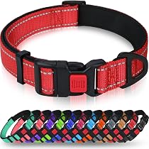 Fida Gepolstertes Hundehalsband – Reflektierend, Doppellagig & Mit Metallschnalle Für Große Hunde