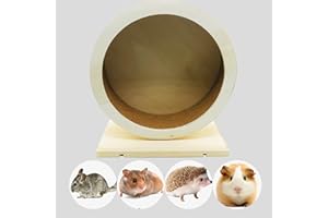 Allazone Ruota per Criceti, Bogie, Esecuzione per Criceti, Porcellini D'India, Riccio e Cincillà