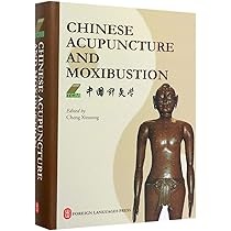 Buy Applied Channel Theory in Chinese Medicine: Wang Ju-yi's