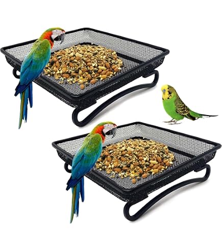 Hummer's Galore Kolibri-Futterstation – 454 Ml Glasflasche, 8 Sitzplätze | Ungiftig, Leicht Zu Reinigen