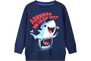 Codkkre Boys Sweatshirts Toddler Boy Pullover Jumper Crew neck Cotton Tops for Kids Toddler Boys Clothes Size 2-7 Years
