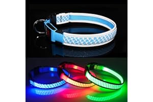 DQGHQME Light Up Dog Collar LED Flashing Dog Collar USB Rechargeab with 2 Refelective Strips, illuminated Dog Collars for Dogs Glow in the Dark, Light Up Your Dog at Night Collars-Spot and Protect Your Dog.
