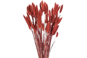 sourcing map 60pcs Natural Rabbit Bunny Tails Dried Flowers 17" Mini Pampas Grass Lagurus Ovatus Bunch for Floral Wedding Decor Christmas, Red