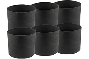 ZQX Lot de 6 sacs de plantation, 3,8 l, avec tuteur, en tissu, pot à tomates, fraises, panier de plantation (1 gallon)