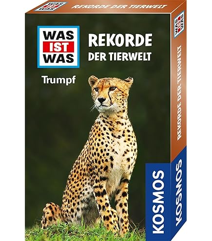 洋楽 CHAOS 88 洋楽 CHAOS 88 Chaos 88 Discography: Vinyl, CDs, & More | Discogs