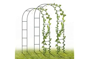 YAOBLUESEA Arche de Jardin Metal, 2 pièces 240 x 140 x 38cm décoration d'arche de Jardin avec Plantes, Fleurs et Ballon pour Les Anniversaires, Mariages et soirées romantiques (Vert)