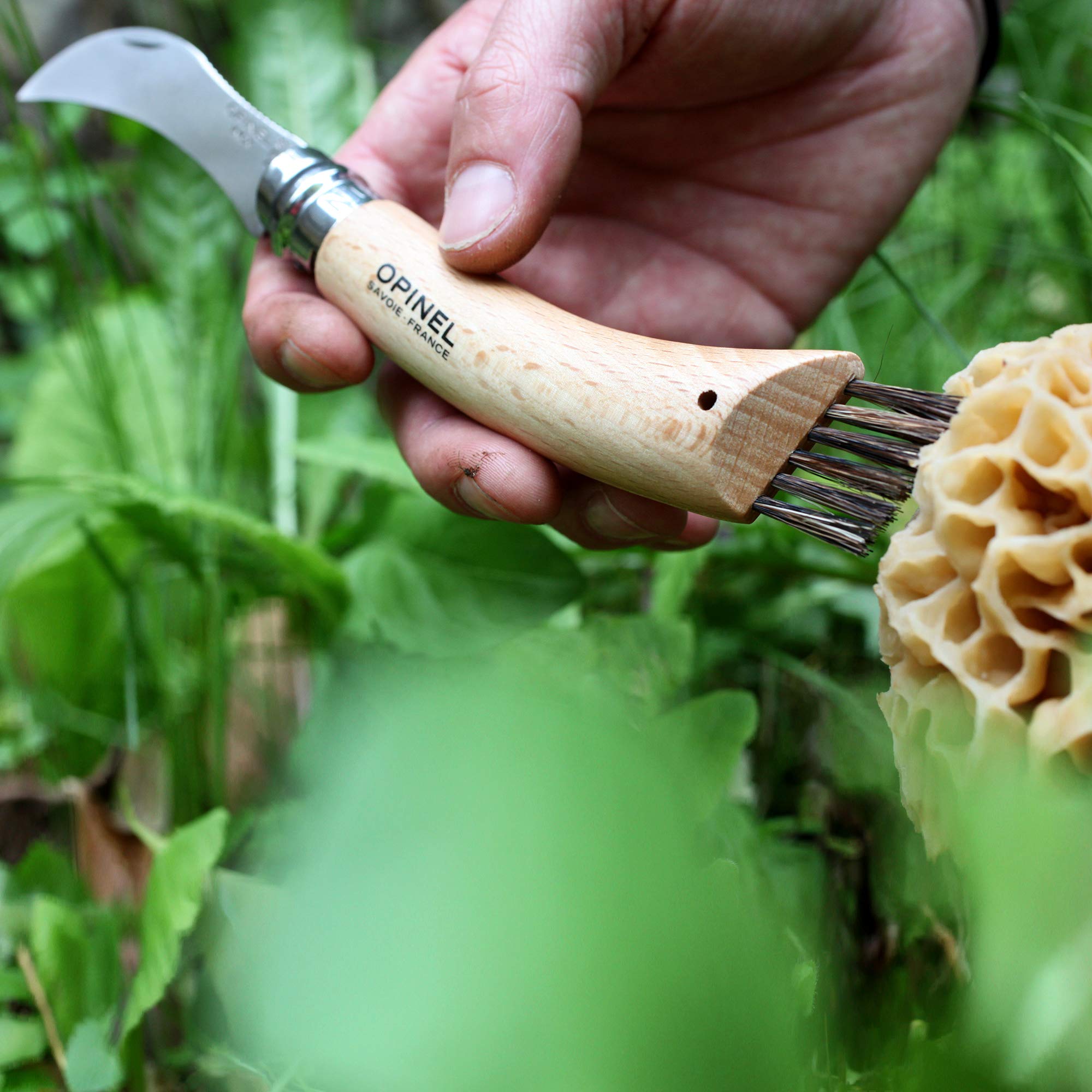 Couteau à Champignons Laguiole – 2 Lames Inox 440, Brosse Poil De Sanglier, Décapsuleur – Manche En Bois Foncé