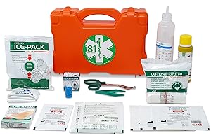 PVS FIRST AID GIMA 34184 Kit Pronto Soccorso, All. 2, Valigetta Plastica