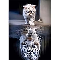 Kit Diamond Painting Gatto Soffice - Pittura Con Diamantini 5D 30x40cm Per Adulti E Bambini - Foto 3