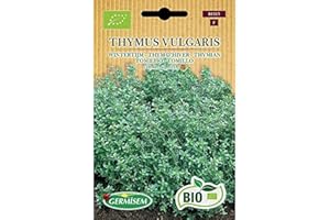 Germisem Biologico Thymus Vulgaris Semi di Timo 0.5 g