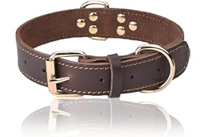 DAIHAQIKO Collare per cani in vera pelle, collare per cani resistente, collare largo per cani di piccola taglia, media taglia, grande taglia e extra large