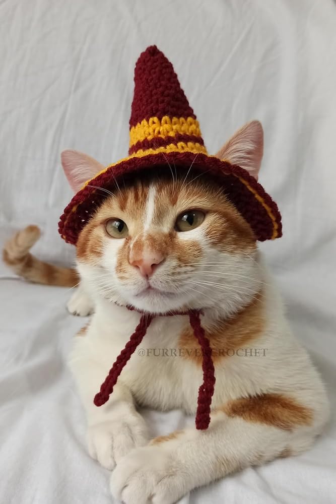 Harry Potter Hogwarts Gryffindor Cadı Şapka Örgü Kedi Köpek Şapkası Evcil Hayvan Şapkası