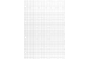 Brunnen 1066942 Wkłady do Segregatora, Biały, 100 x A4