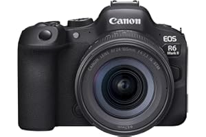 Canon EOS R6 Mark II + RF 24-105mm f/4-7.1 is STM Noir