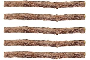 YMLOVE Catnip Silvervine Sticks Cat Treat Matatabi Stick Cat Teeth Cleaning stick Rod with Pure Natural Catnip small animal Molar Toothpaste Stick Pet Cat Dental Treat Chew Toy (Diameter 0.6-1.3cm , 5pcs)