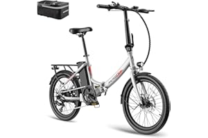 Fafrees Bicicleta eléctrica F20 Light, 20" Bicicleta Urbana Eléctrica Plegable, Motor 250W, Batería Extraíble 36V 16.75AH, Alcance 60-120 km, Unisex Adulto E-Bike