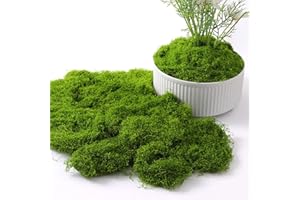Beiyan 120g Kunstmoos zum Dekorieren, Moos Deko, Moos zum Basteln, Kunst Moos, Kunstrasen zum Basteln, Deko Moos für Weihnachten Übertöpfe Künstlicher Pflanzen, Aquarium, Krippe Modellbau, Dunkelgrün