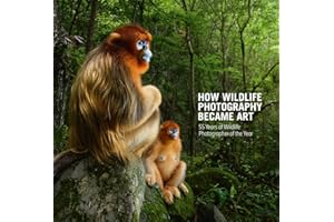 How Wildlife Photography Became Art: 55 Years of Wildlife Photographer of the Year