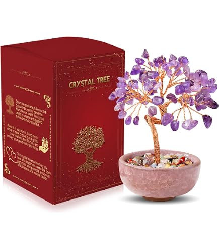 Albero dei soldi bonsai Feng Shui per la guarigione e la fortuna