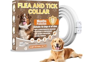 Inpumo Collar Antiparasitario para Perros, Collar Antipulgas y Garrapatas, Apto para Todos los Tamaños, Fórmula Natural Segura, Material Impermeable, Dura 12 Meses (1 Pack)
