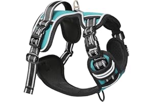 HEELE Arnés para Perro Mediano Arnes para Perro Chaleco Reflectante con 3 Hebillas de Liberación Pápida Arnés para Perro Ajustable, Mango Acolchado, Confort, Liberacion del Cuello, Turquesa, L