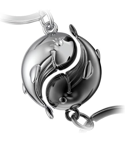 BUOKSLLY 2 paia di portachiavi a forma di gatto – regalo per partner romantici, coppie, regali per coppie, regali per coppie (nero, argento), multicolore, L