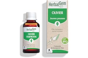 HERBALGEM - Macérât-Mère - Olivier Bio - Complément Alimentaire Gemmothérapie Concentrée - Extrait De Bourgeon Frais - Pour Circulation Sanguine - 30 ml