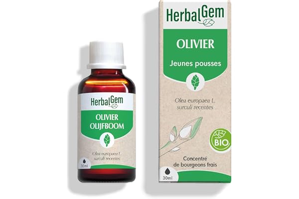 HERBALGEM - Macérât-Mère - Olivier Bio - Complément Alimentaire Gemmothérapie Concentrée - Extrait De Bourgeon Frais - Pour Circulation Sanguine - 30 ml